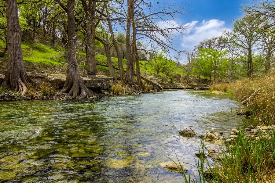 6515 Hwy 27, Center Point, TX 78010 - #3