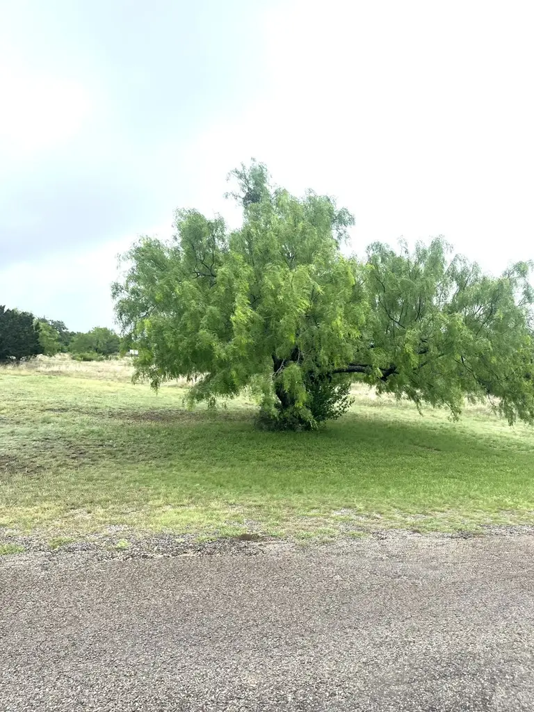 35 Cardinal Dr, Camp Wood, TX 78833 - #3