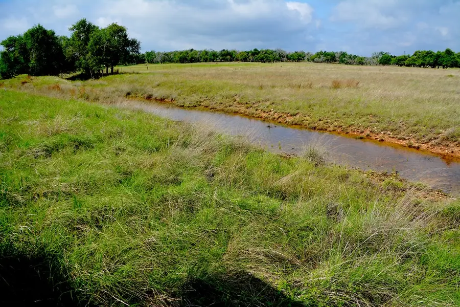 000 Fm 479, Harper, TX 78631 - #3