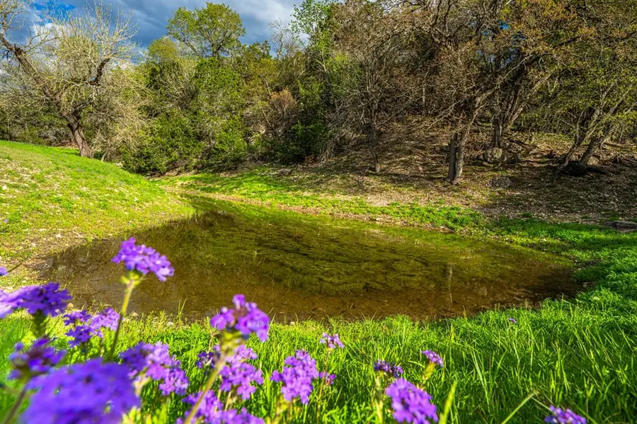 1994 Bear Creek Rd, Kerrville, TX 78028 - #2