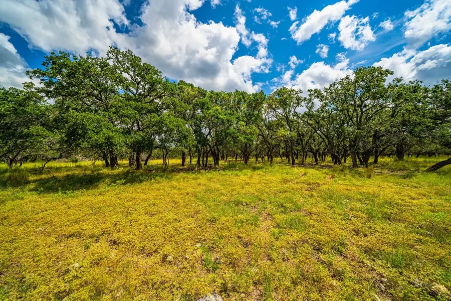 20 Legacy Oaks Dr, Harper, TX 78631 - #3