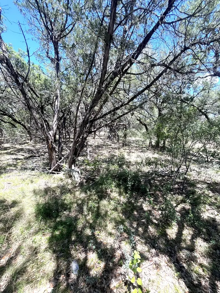 430 Fm 2748, Concan, TX 78838 - #3