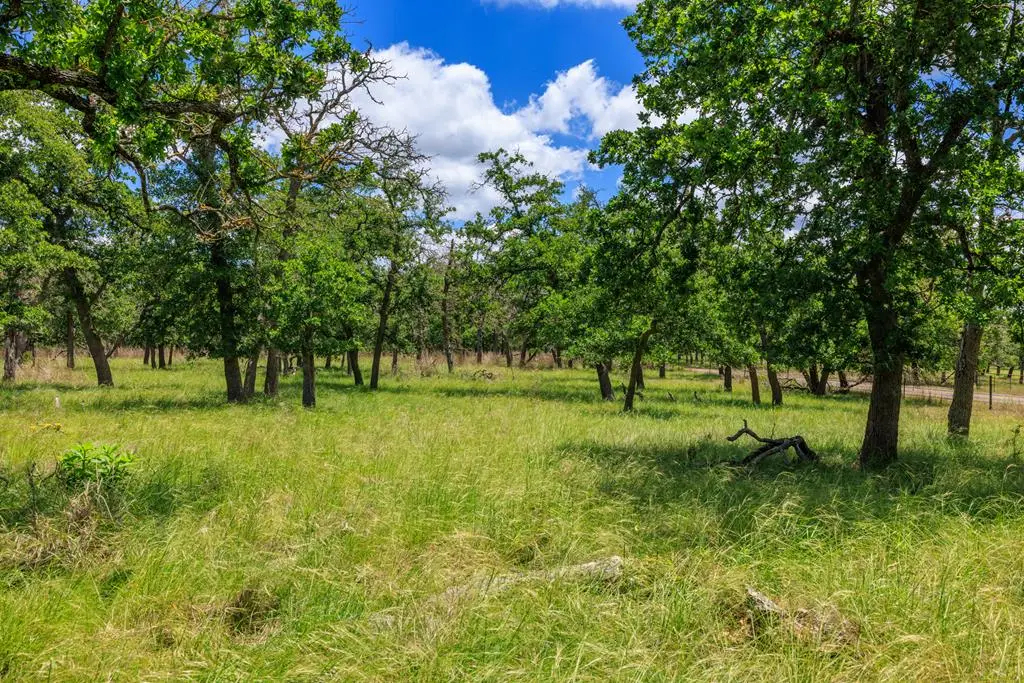 2100 Grape Creek Rd., Fredericksburg, TX 78624 - #1