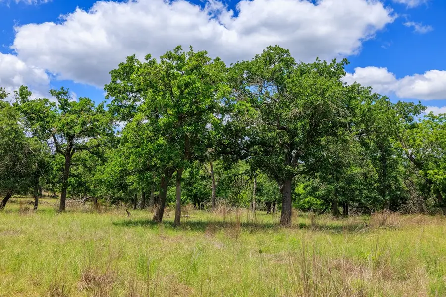 2100 Grape Creek Rd., Fredericksburg, TX 78624 - #3