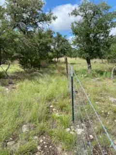 165 Louise Lane, Mountain Home, TX 78058 - #3