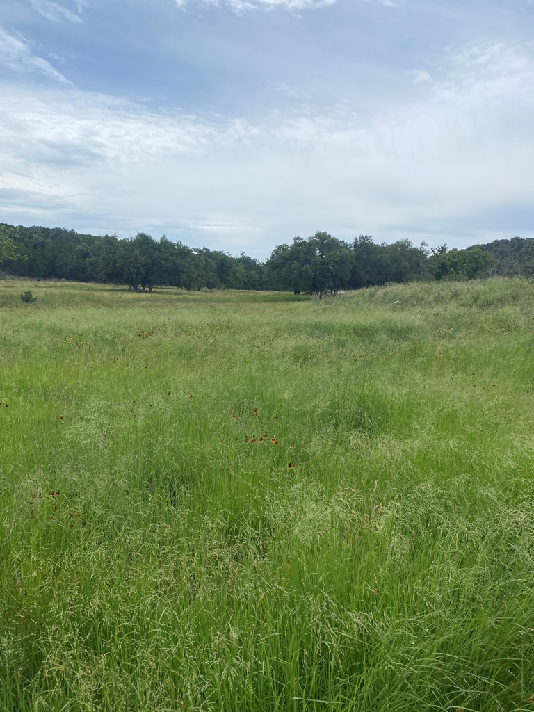 220 Dekoch Ridge, Kerrville, TX 78028 - #3