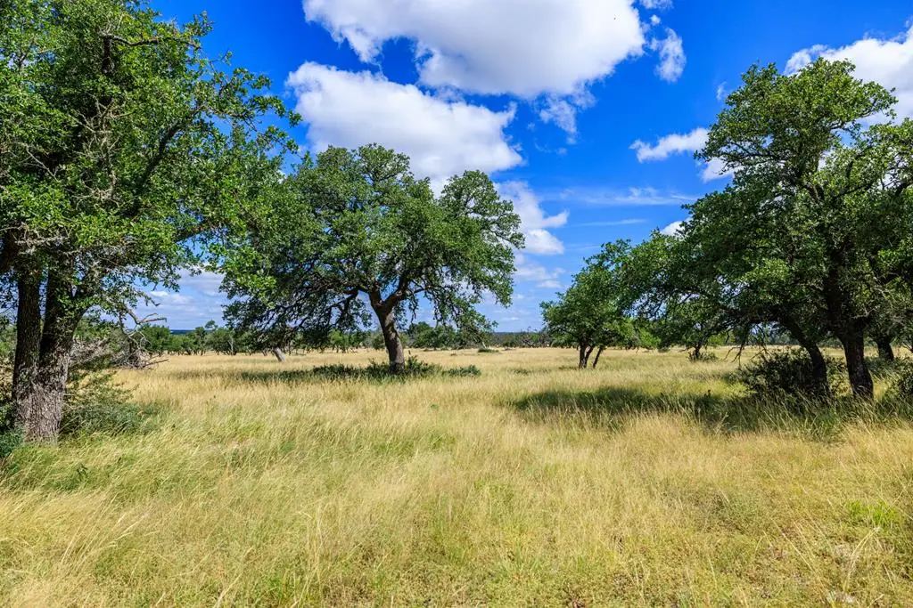 Lot 94 Stock Pond Dr, Harper, TX 78624 - #1