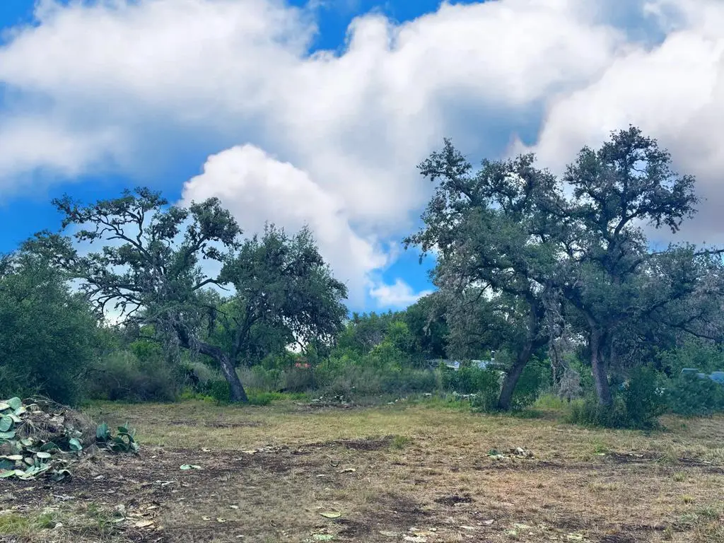 312 W Sixth St, Camp Wood, TX 78833 - #1