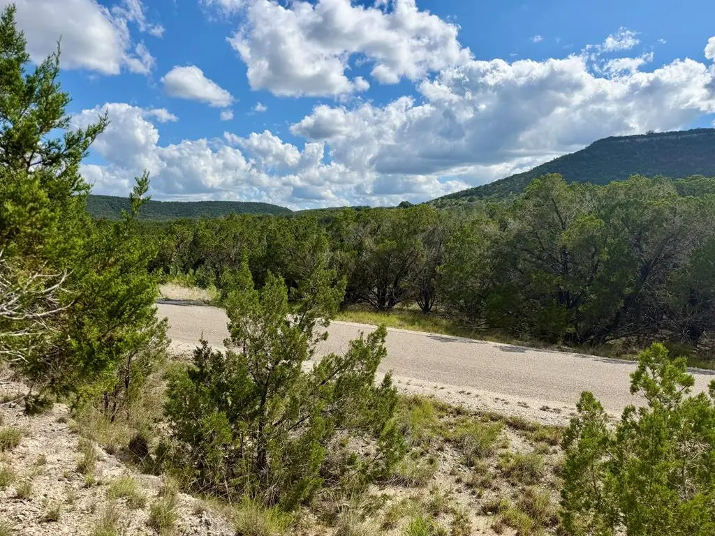 000 Live Oak Trail, Tarpley, TX 78883 - #1
