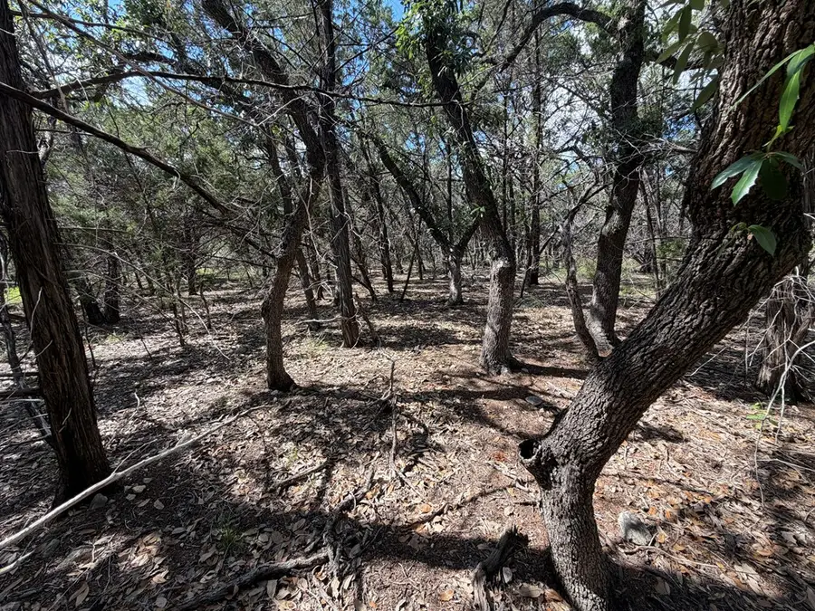 000 Live Oak Trail, Tarpley, TX 78883 - #3