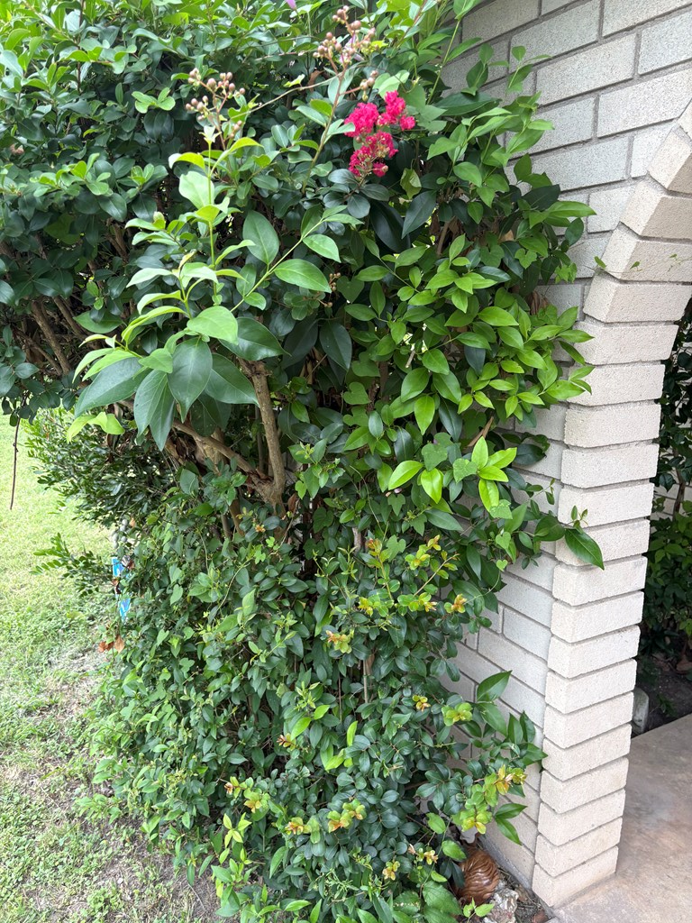 1515 N Ridgemont Lane, Kerrville, TX 78028 - #2