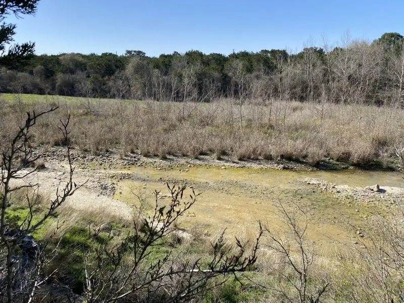 000 Other, Reagan Wells, TX 78801 - #3