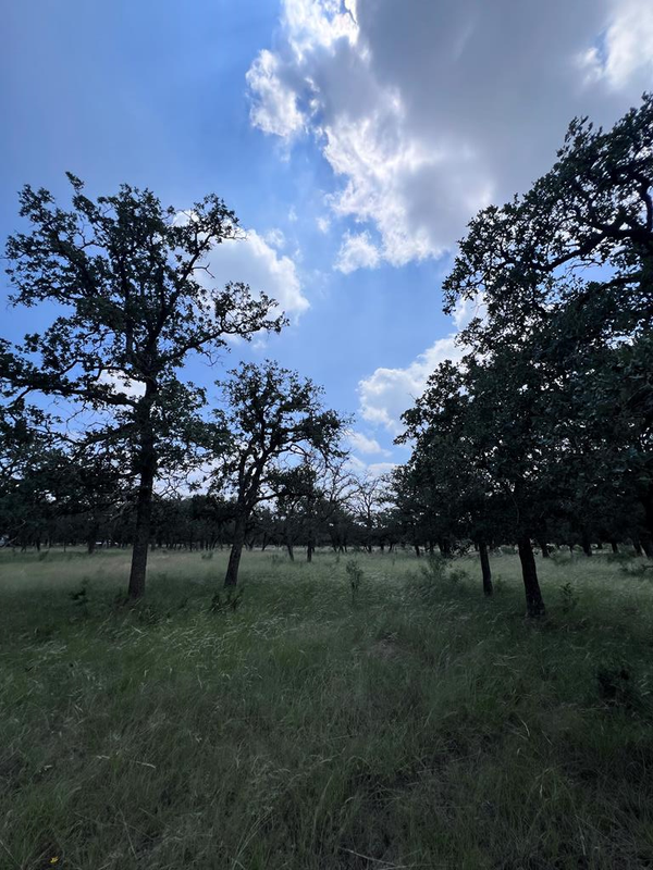 0 S Hollmig Ln., Fredericksburg, TX 78624