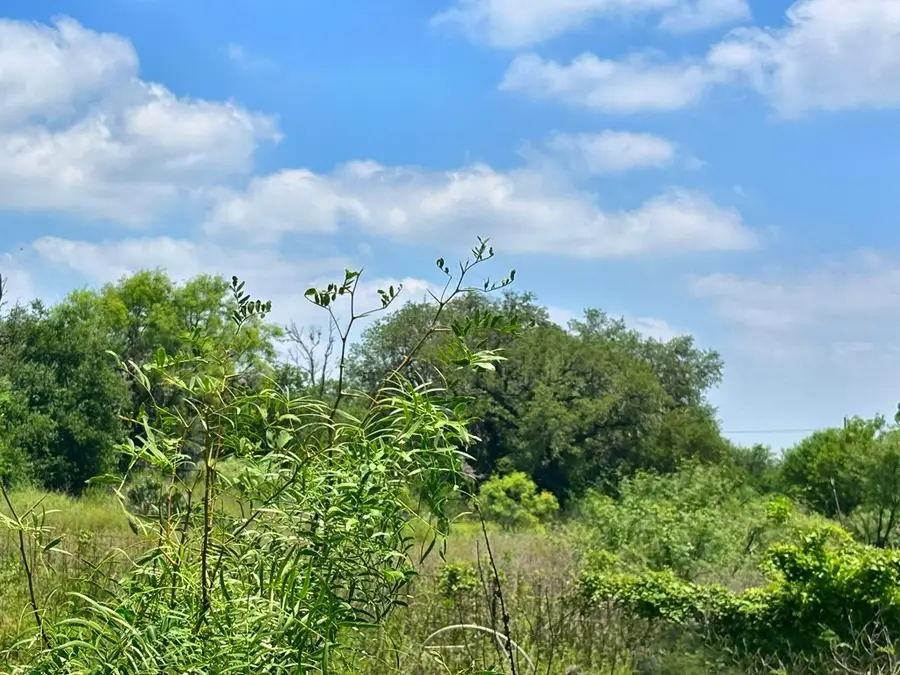 10348 River Rd, Camp Wood, TX 78833 - #2