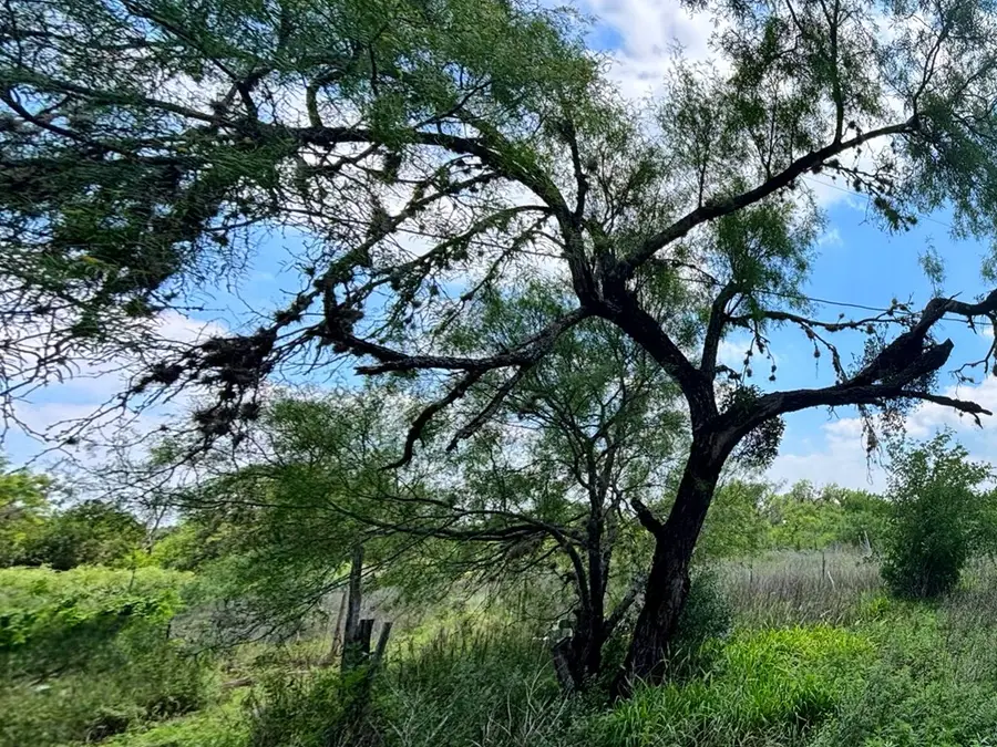 10348 River Rd, Camp Wood, TX 78833 - #3