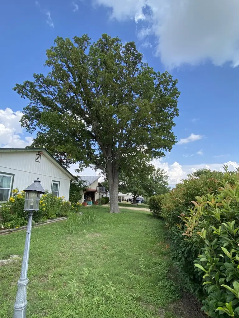 108 Dover Dr, Kerrville, TX 78028 - #2