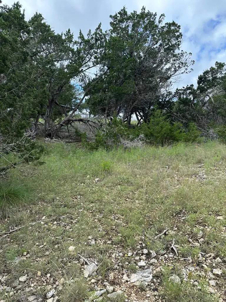 165 SW Cherry Springs Rd, Hunt, TX 78024 - #1