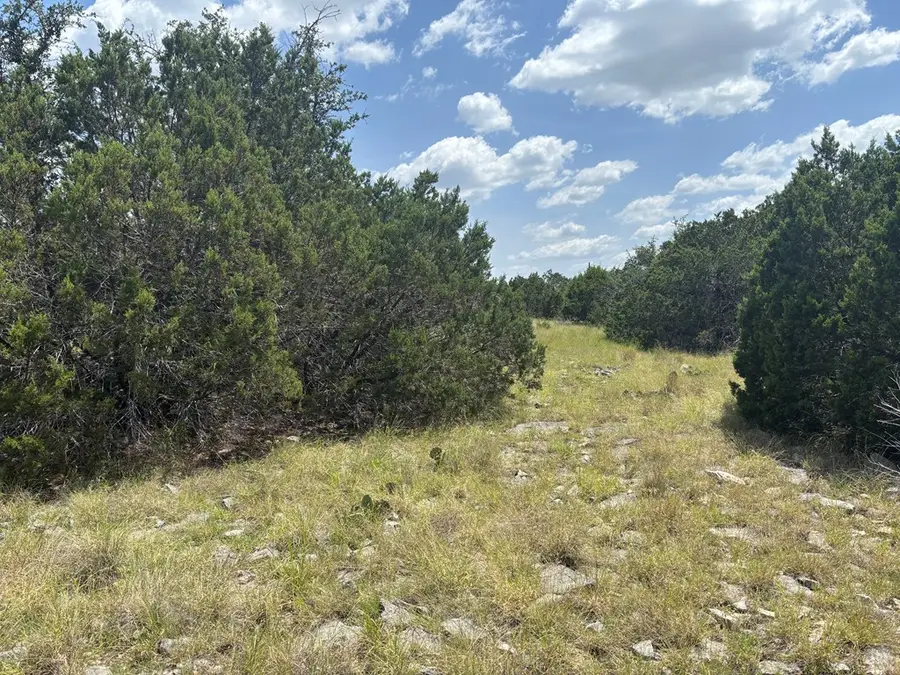 1815 Cr 310, Rocksprings, TX 78880 - #3