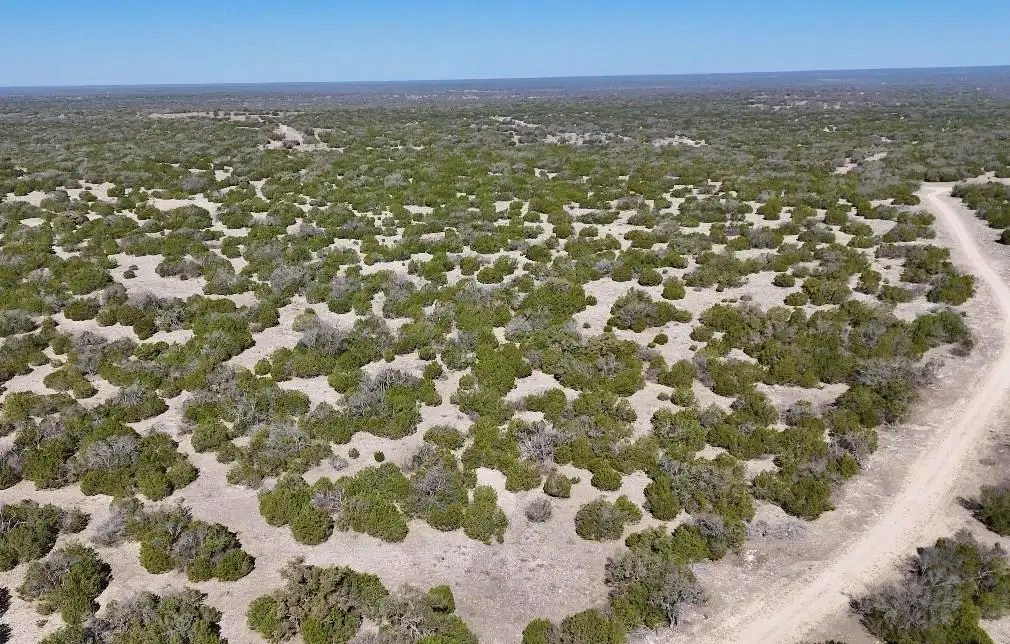 4284 Tasajillo Trail, Eldorado, TX 76936 - #1