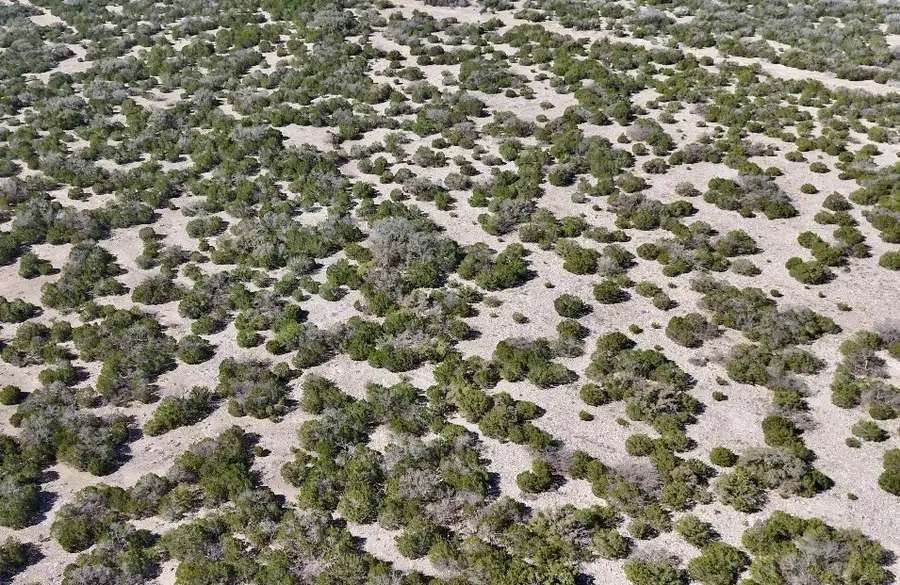 4284 Tasajillo Trail, Eldorado, TX 76936 - #3