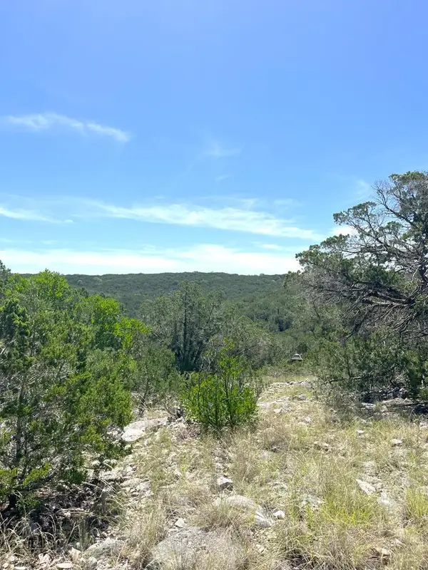 3835 Bluff Creek Rd, Leakey, TX 78873