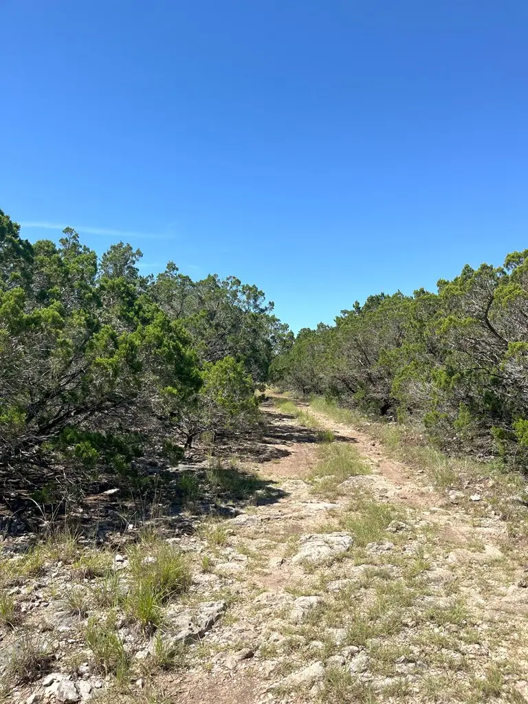 3835 Bluff Creek Rd, Leakey, TX 78873 - #3