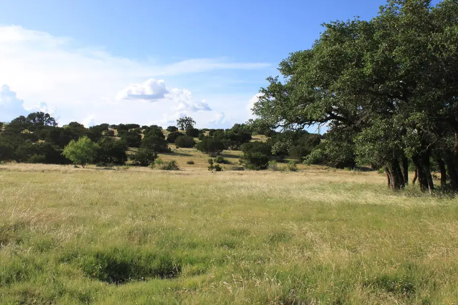 Tract 5 Dominion Road, Roosevelt, TX 76950 - #2