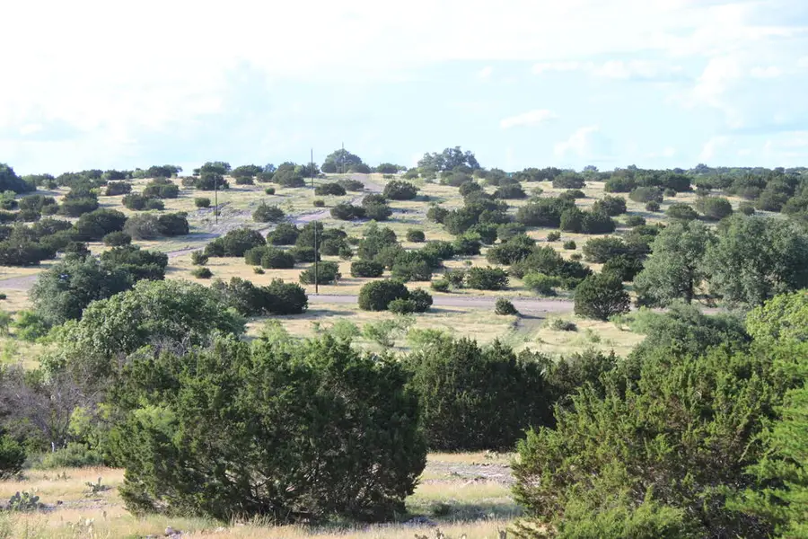 Tract 5 Dominion Road, Roosevelt, TX 76950 - #3