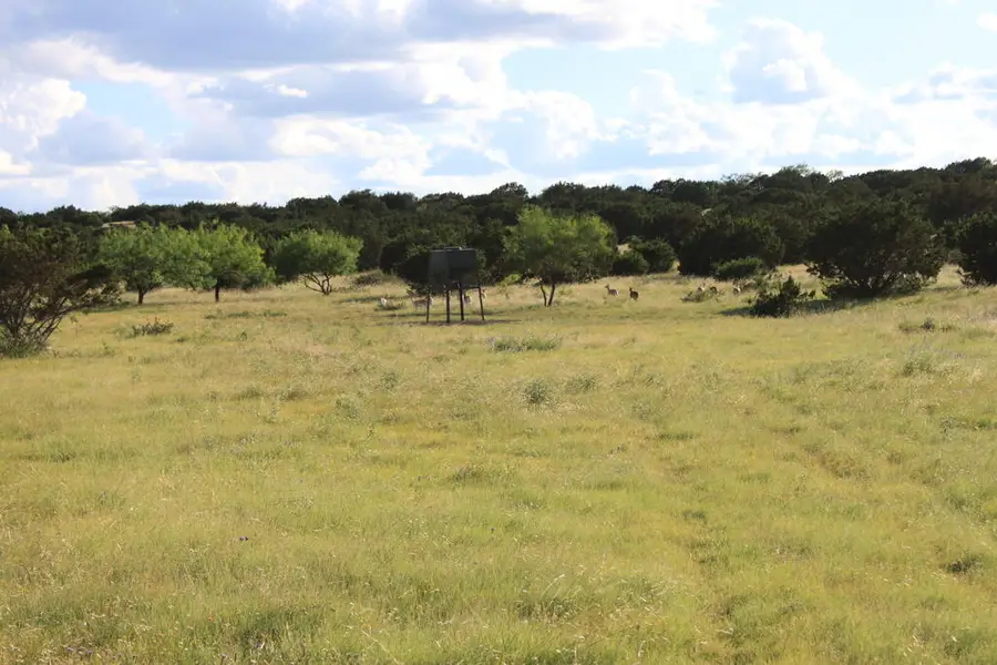 Tract 6 Dominion Road, Sonora Rural, TX 76950 - #3