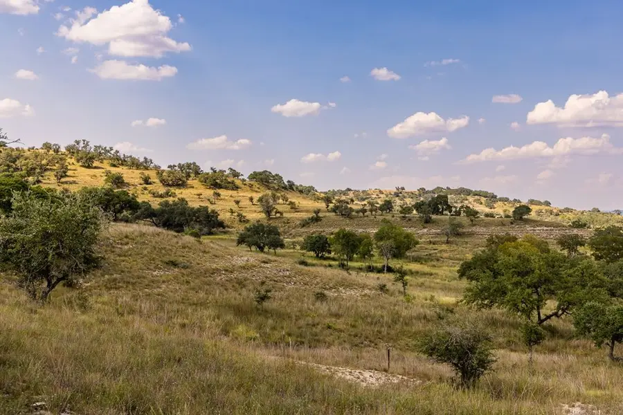 945 Elm Pass Rd, Center Point, TX 78010 - #3