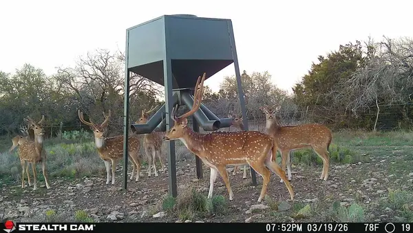 Tract 3 Dominion Road, Roosevelt, TX 76950