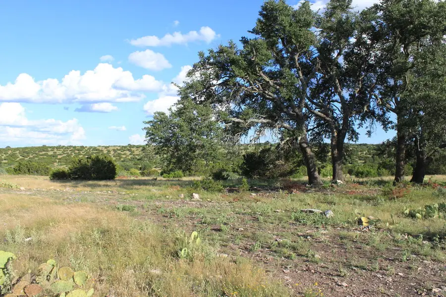 Tract 3 Dominion Road, Sonora Rural, TX 76950 - #3