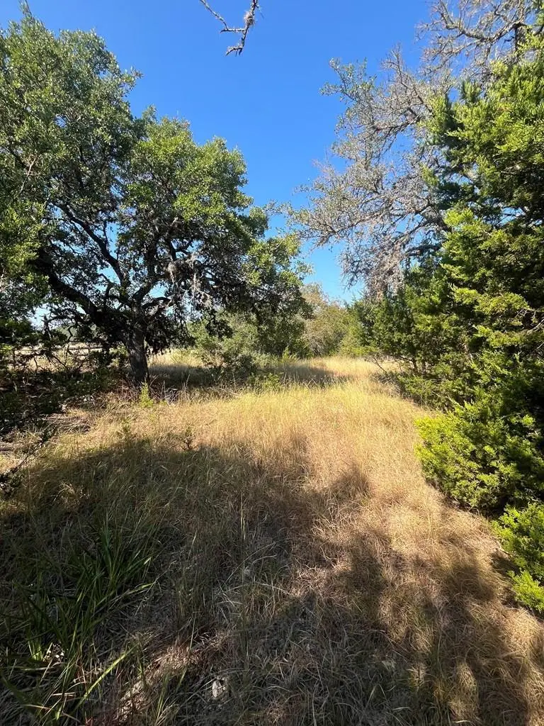 4223 Hwy 173, Bandera, TX 78003 - #2