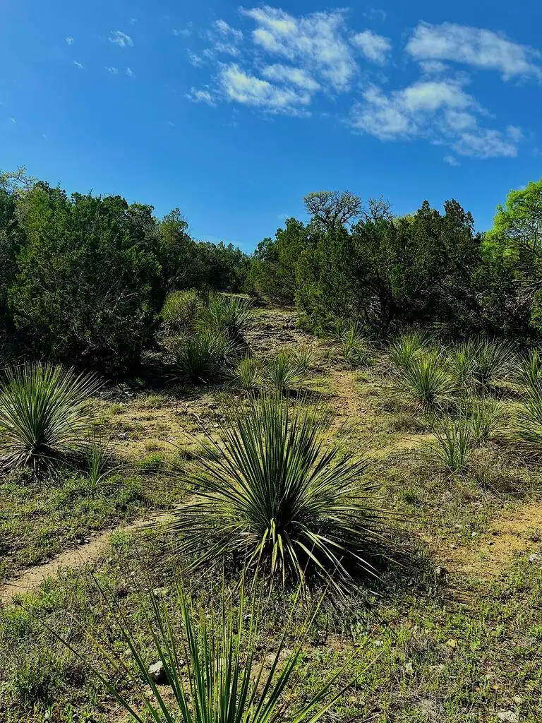 TBD Solo Vw, San Antonio, TX 78260 - #3