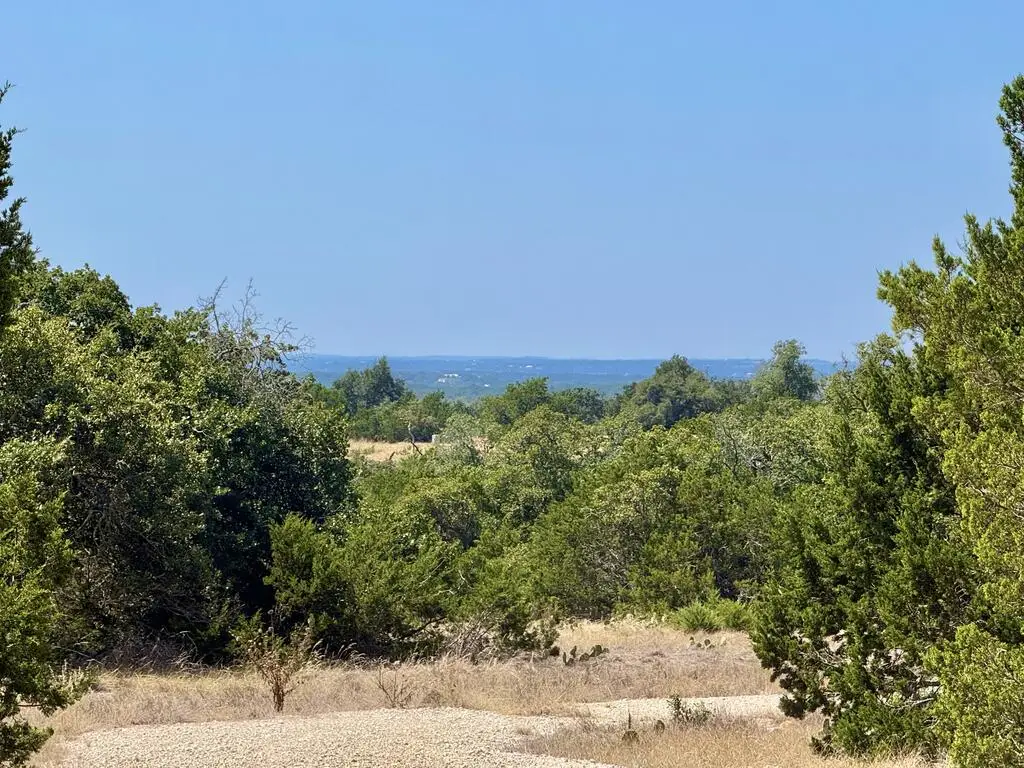 1061 Vanguard Ridge Rd, Fredericksburg, TX 78624 - #1