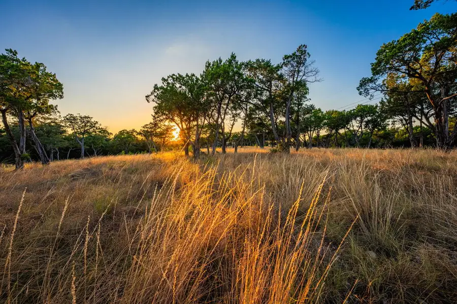 137 Honeycomb Lane, Kerrville, TX 78028 - #3