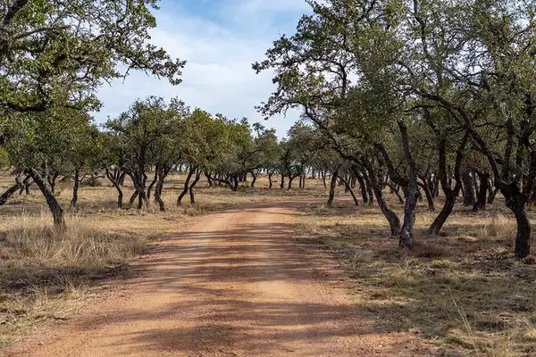 20400 Fm 2093, Fredericksburg, TX 78631