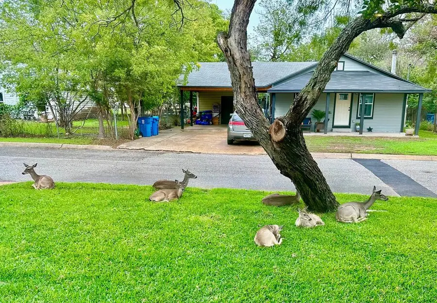 620 Robinson Ave, Kerrville, TX 78028 - #2