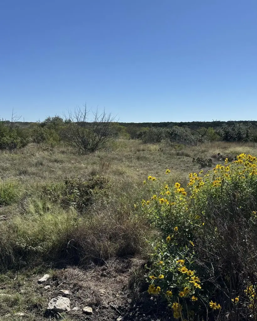 00 Sd 28500, Rocksprings, TX 78880 - #3