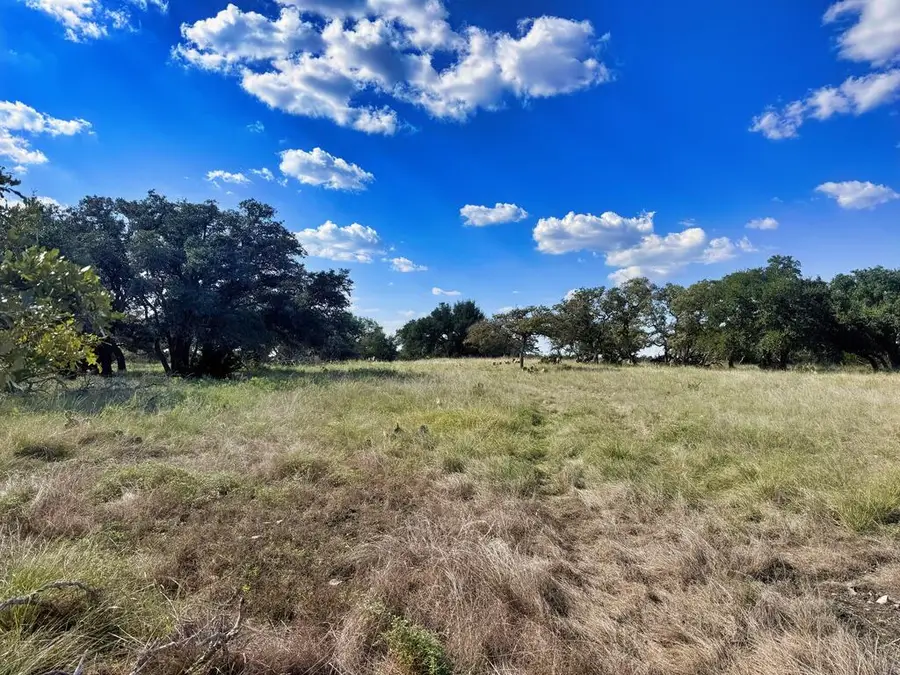 Lot 22 Legacy Oaks Dr, Harper, TX 78631 - #2