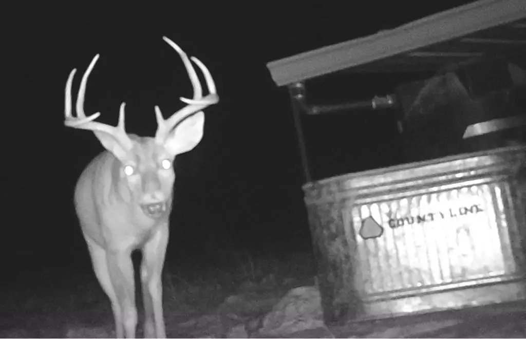 sd 630 Cr 630, Rocksprings, TX 78880 - #1