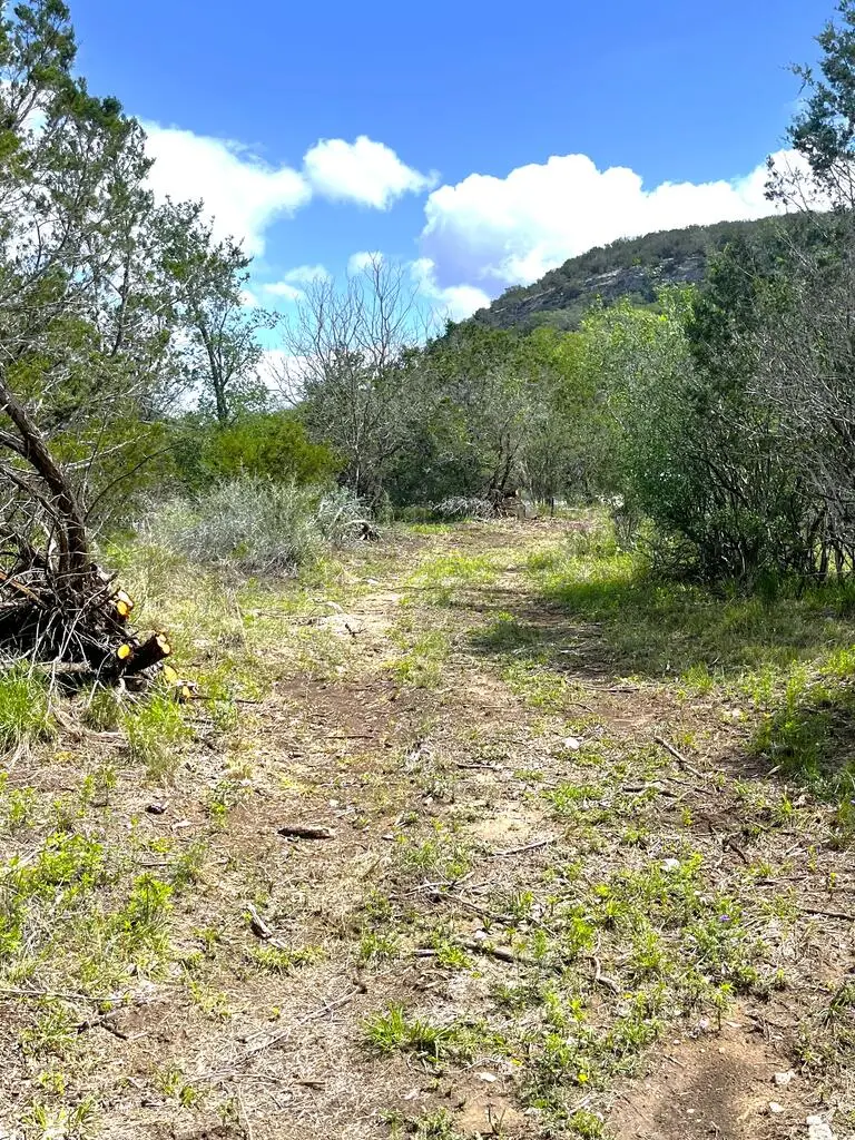 1174 Old Rocksprings Rd, Leakey, TX 78873 - #3
