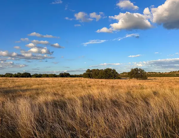 284 Pump Station Rd, Mason, TX 76856