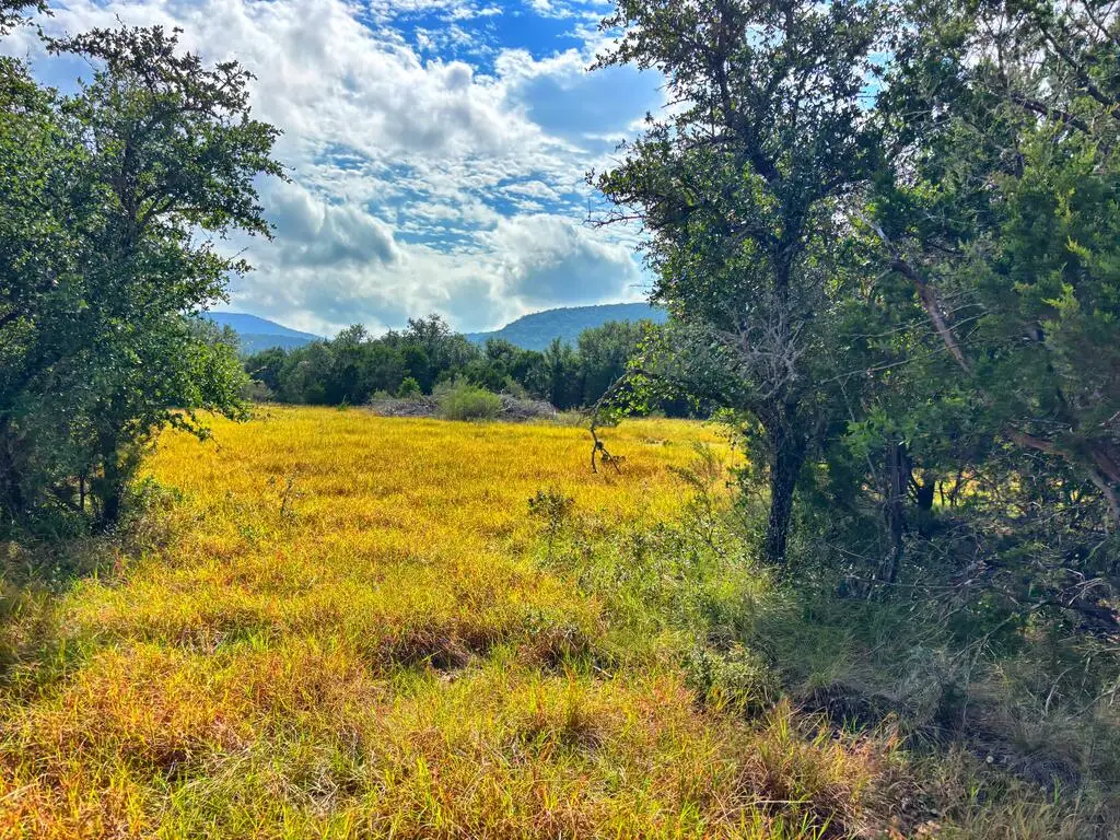 241 Cr 381, Barksdale, TX 78828 - #1
