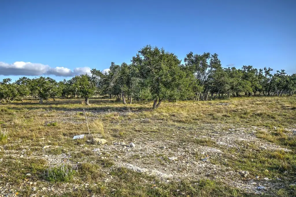 Lot 94 Stock Pond Dr, Harper, TX 78631 - #1