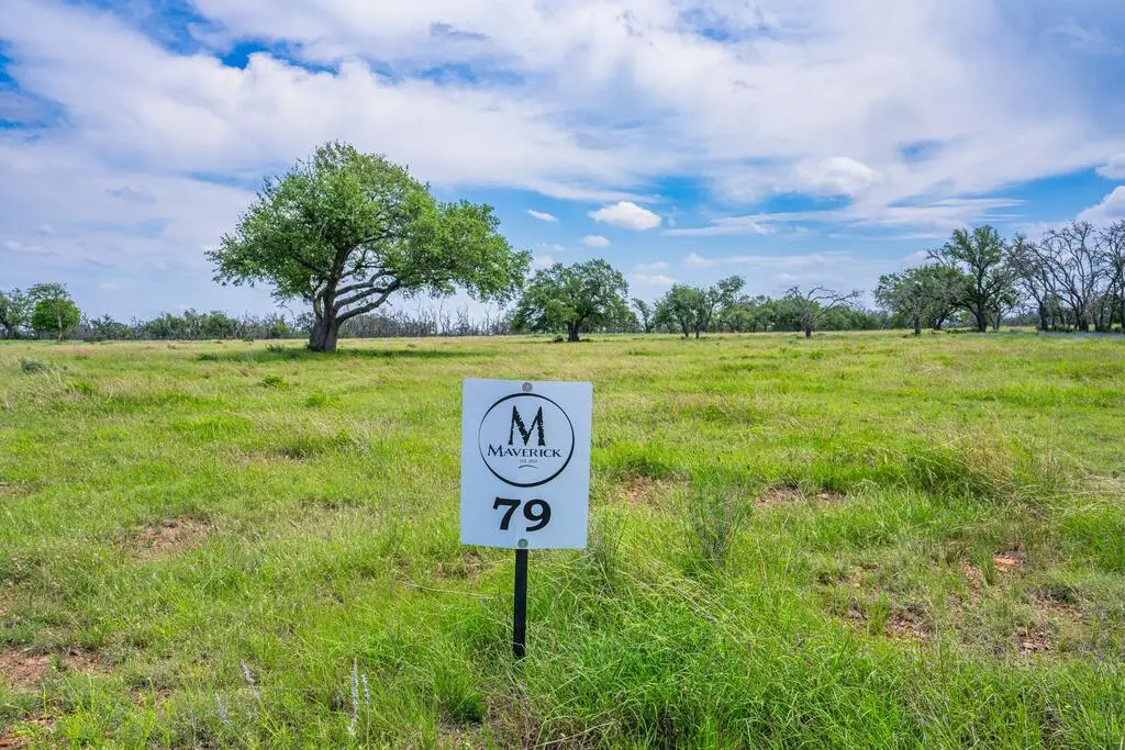 Lot 79 Stock Pond Dr, Harper, TX 78631 - #1