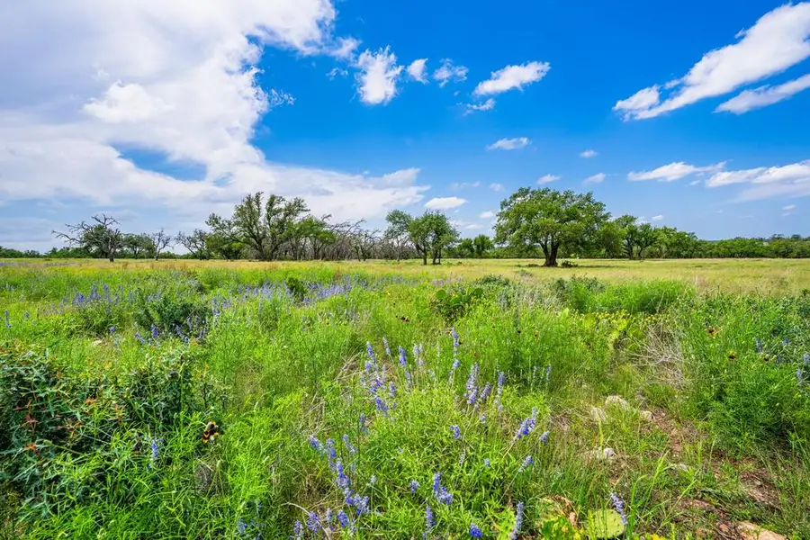 Lot 79 Stock Pond Dr, Harper, TX 78631 - #2