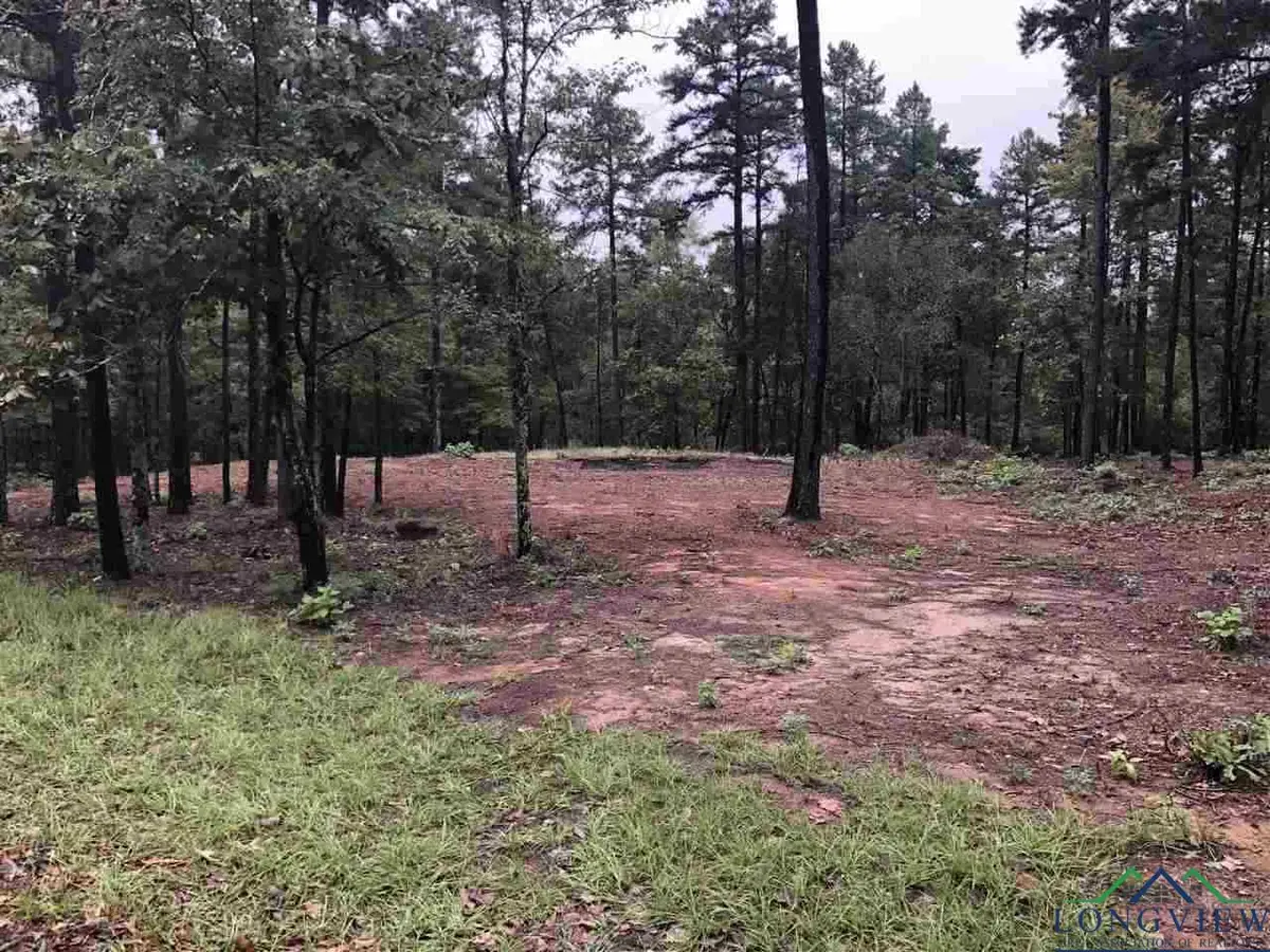 LOT 4 LAKE GLADEWATER RD, Gladewater, TX 75647 - Image #1