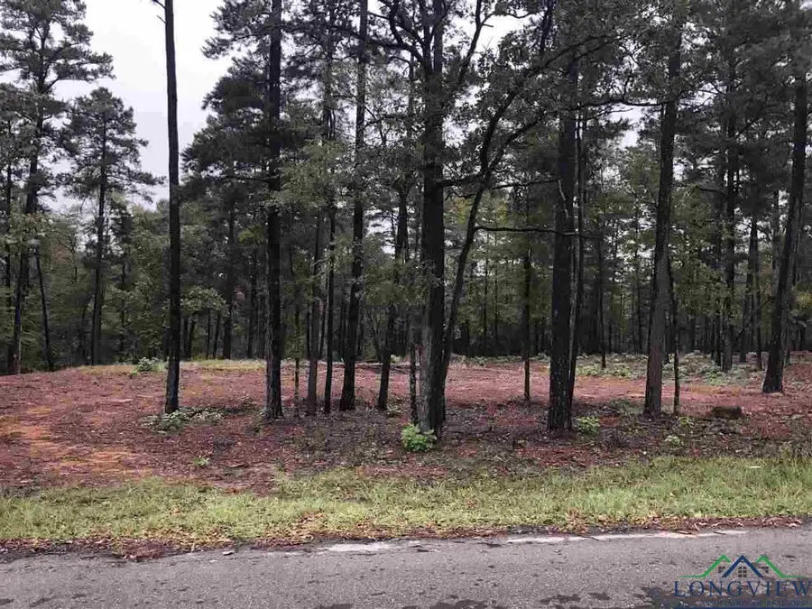 LOT 4 LAKE GLADEWATER RD, Gladewater, TX 75647 - Image #2
