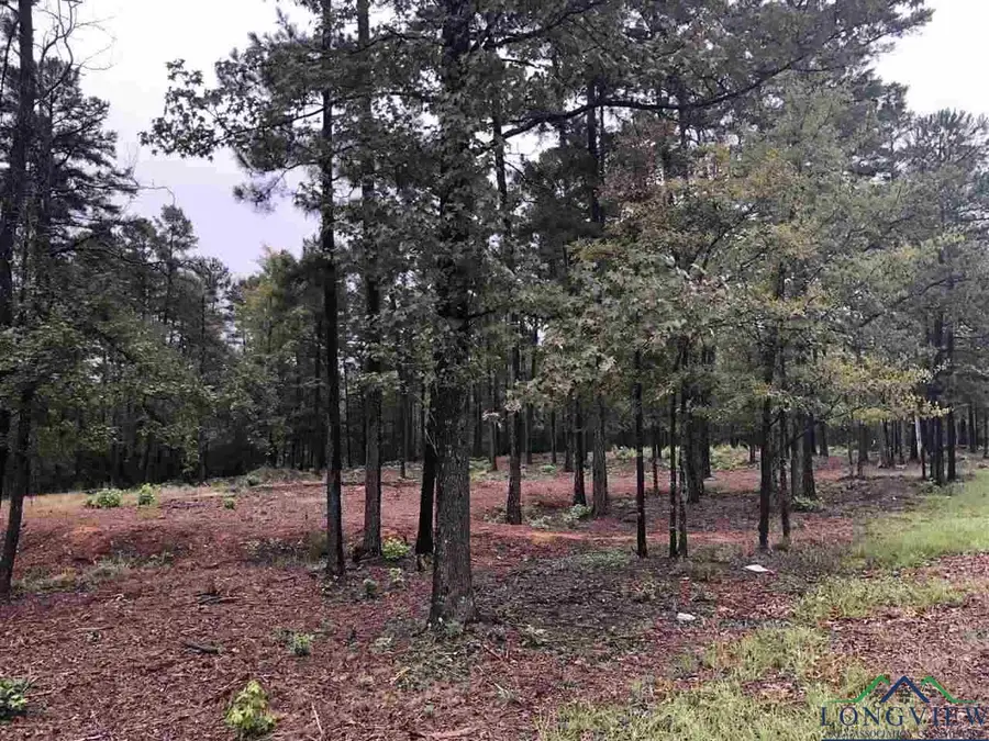 LOT 4 LAKE GLADEWATER RD, Gladewater, TX 75647 - Image #3